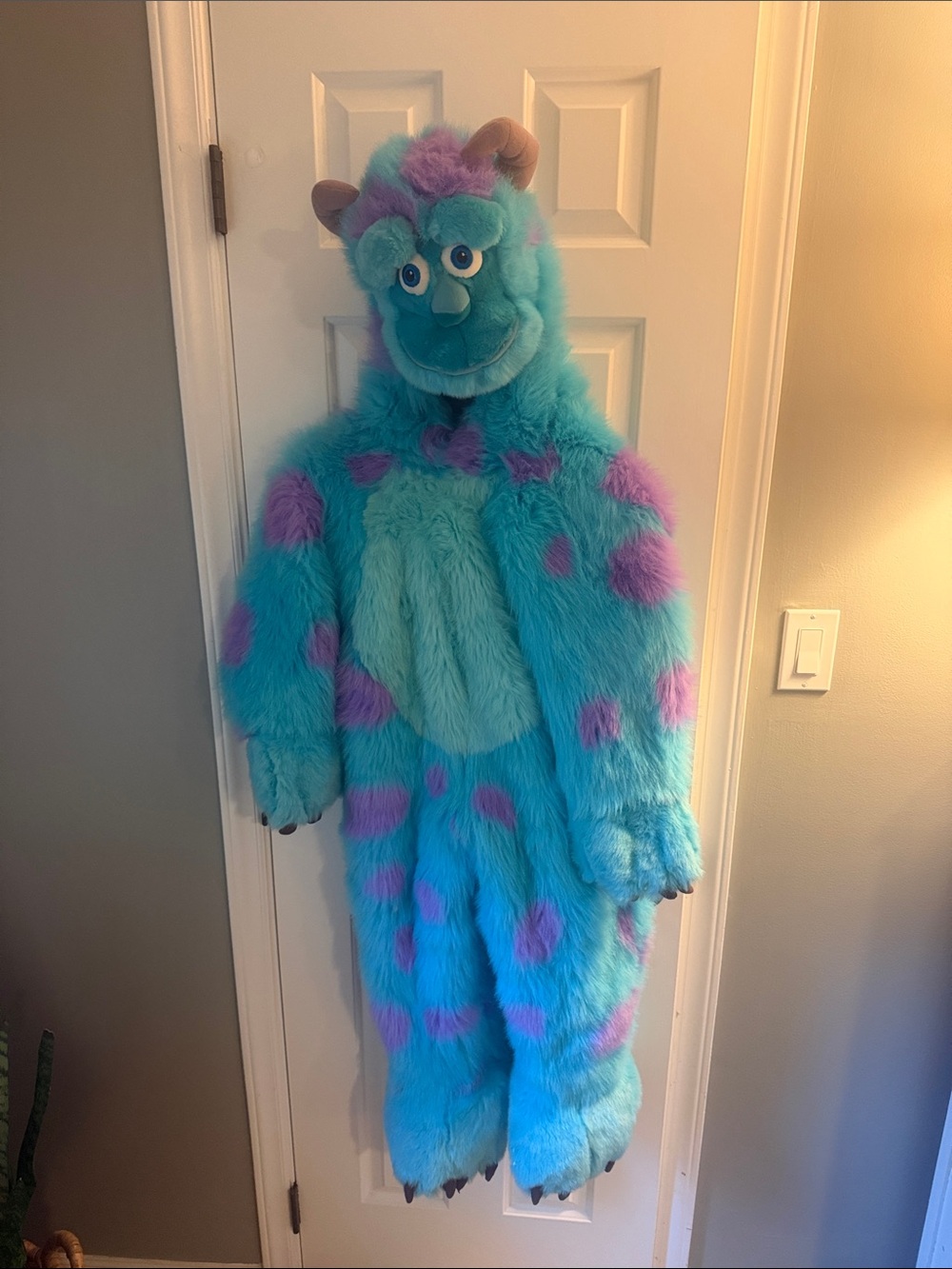 Sully costume